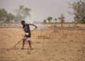 Africa Unites to Combat Desertification