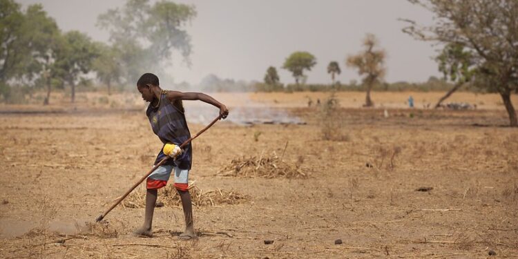 Africa Unites to Combat Desertification