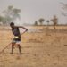 Africa Unites to Combat Desertification