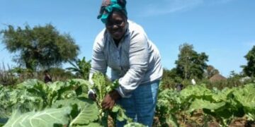 Sustainable Agriculture Projects in Africa