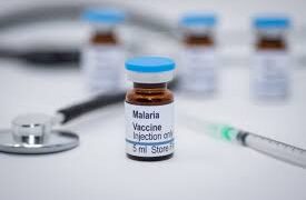 Scientists Discover New Malaria Vaccine